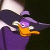   DocDick